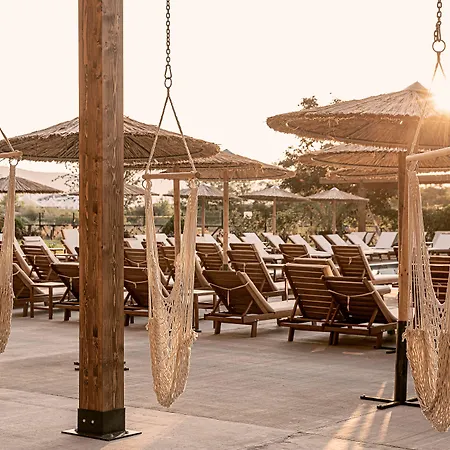 Sunny Club - Adults Only #youthfulvibes סאני ביץ'