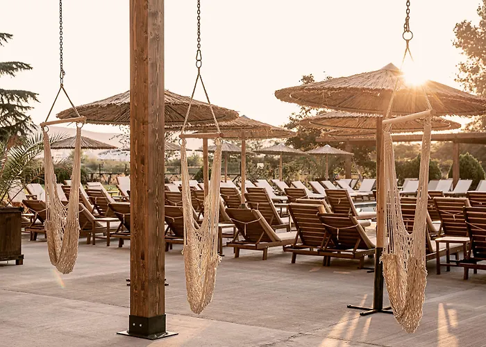 Sunny Club - Adults Only #youthfulvibes Сонячний Берег